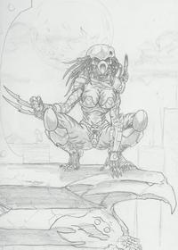 Free Hentai Western Gallery: Alien and predator