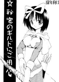Himitsu no Guild ni Goyoujin