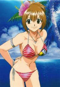 Free Hentai Image Set Gallery: Rave Master