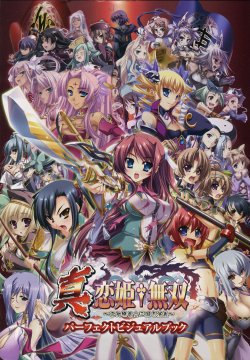 Shin Koihime Musou Otome Ryouran Sangokushi Engi Download Itunes