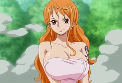Character Nami E Hentai Galleries