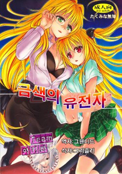 (C82) [Takumi na Muchi (Takumi na Muchi)] Kiniro no Idenshi | 금색의 유전자 (To LOVE-Ru Darkness) [Korean] [Team 아키바]