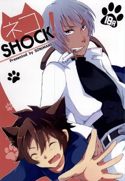 (Ikai Toshi no Arukikata) [SoniMani (Aduma Kei, Majin Nana)] Neko SHOCK (Kekkai Sensen)