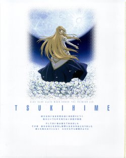 Dsignbook:shingetsutan tsukihime seiten