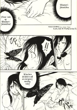 Sore wa chisana shiawase to - mamejanakute (Bleach) [english]