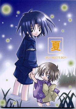(C64) [Tokimekidobon (Ogawa Kurumi)] Natsu Boy Meets Boy (Shaman King)