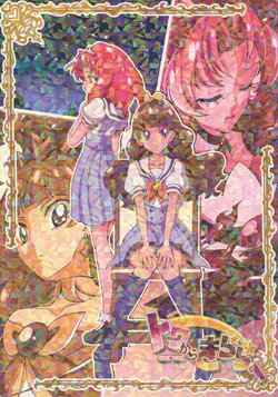 (Rainbow Flavor 14) [Sirogane Rider (Sharumon)] Towa kara Kirara e (Go! Princess PreCure)