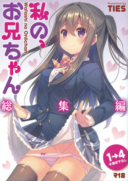 (C94) [TIES (Takei Ooki)] Watashi no, Onii-chan Soushuuhen