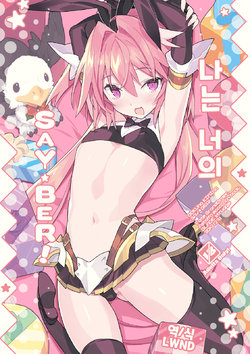 (C97) [Lovewn Outpost (BLADE)] Boku wa Kimi no SAYBER! | 나는 너의 SAYBER! (Fate/Grand Order) [Korean] [LWND]