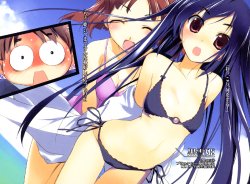 accel_world