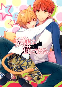 (Ou no Utsuwa 5) [Shoujou (Cloe)] Ore-sama wa Neko dearu. (Fate/hollow ataraxia)