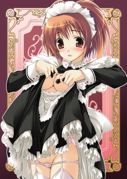 [Applemint] Maid-san Katsudou Shashinshuu