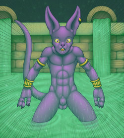 Beerus Gallery (various)