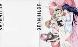 Gokukoku no Brynhildr BD Scans + Booklet + Storyboard