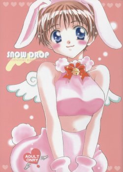 (C55) [Gallop Dyna, Küsse (Narita Rumi, Senami Rio)] SNOW DROP (Neon Genesis Evangelion)