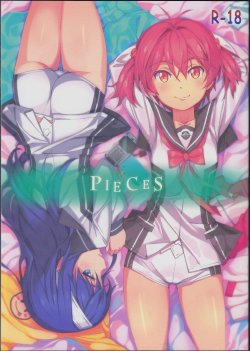 (C86) [JUNK STORY (Michairu)] PIECES (Vividred Operation)