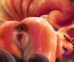 [V-tal] Vulpix Mating