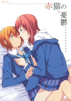 (Bokura no Love Live! 10) [Hatakewotagayasudake (Mikanuji)] Akaneko no Yuuutsu | 赤貓的憂鬱 (Love Live!) [Chinese] [EZR個人漢化]