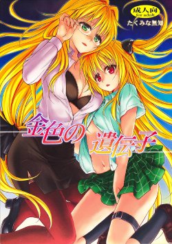 (C82) [Takumi na Muchi (Takumi na Muchi)] Kiniro no Idenshi (To LOVE-Ru Darkness) [English] [Tigoris Translates]