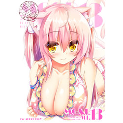 (C92) [Fukuneko Mofumofu (Syroh)] My Cats & Biscuit Vol. 13 [Sample]