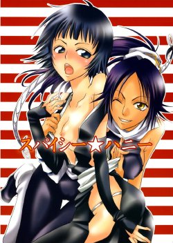 (C70) [Kurione-sha (YU-RI)] Spicy Honey (Bleach) [Chinese]