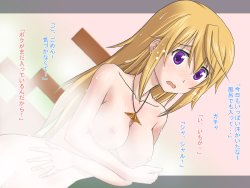 [Plastic Image] Char to Issho (IS <Infinite Stratos>)