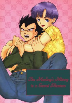 (C61) [Ryujin-kai (HITO Ribuki)] Saru no Fukou wa Mitsu no Aji | The Monkey's Misery is a Secret Pleasure (Dragon Ball Z) [English] [Arigatomina]