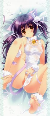 Carnelian 2010 Dakimakura Calendar