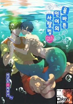 (Renai Endorphin) [KH. (Yuki)] Tadashii Ningyo no Aishikata |   올바른  인어의 사랑법  (Free!) [Korean] [Faken translate]