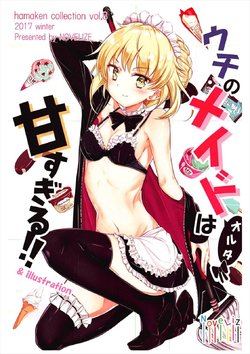 (C93) [NOVELIZE (Hamaken.)] Uchi no Maid Alter wa Amasugiru!! (Fate/Grand Order)