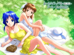 ROOMMATE Novel -Yuka Sato- ArtCollection