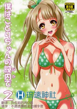 (C84) [GUST (Harukaze Soyogu)] Boku wa Kotori-chan no Naka de 2 (Love Live!) [Chinese] [琉璃神社汉化]