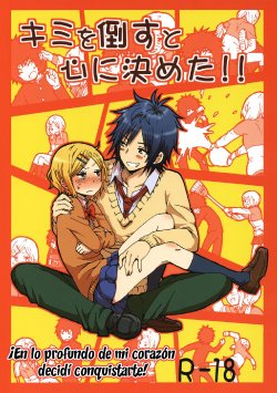 (COMITIA104) [Seibunkaken (Yanagida Fumita)] Kimi o Taosu to Kokoro ni Kimeta!! | ¡En lo profundo de mi corazón decidí conquistarte! [Spanish] =KnF & Biblioteca Hentai=