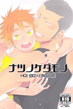 (C84) [Junai Meringue-don (Kijima Hyougo‎)] Natsu no Kedamono (Haikyuu!!)