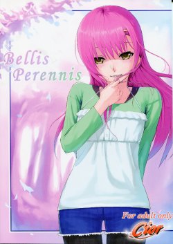 (SC41) [Cior (ken-1)] Bellis Perennis (Hayate no Gotoku!)