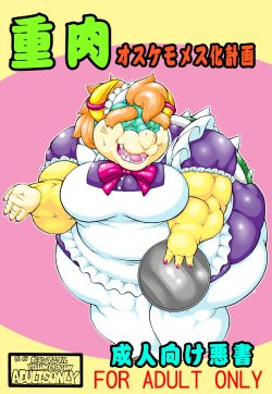 (C76) [Boyonanimaru (YELLOW DRAGON)] Juuniku Osukemo Mesuka Keikaku (Super Mario Brothers)