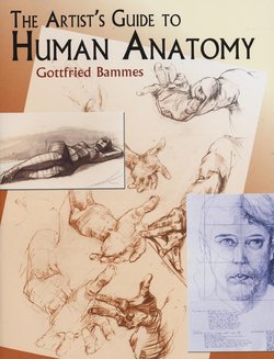 Gottfried Bammes - The Artist's Guide to Human Anatomy