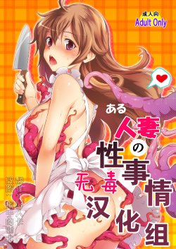 [MS Confidential] Aru Hitozuma no Seijijou [Chinese] [无毒汉化组] [Digital]