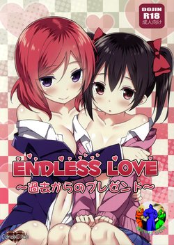 (C88) [Candy Club (Sky)] Endless Love ~Kako kara no Present~ (Love Live!) [Korean] [레어 변태 강간마]