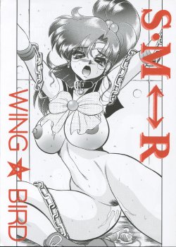 (C62) [Jingai Makyou Club (Wing☆Bird)] S·M↔R (Sailor Moon)