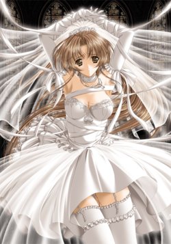 [Riddle Soft] Virgin Bride - Ochita Hanayome