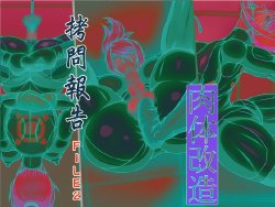 [Berugamotto] Goumon Houkoku FILE2 Nikutai Kaizou (Metroid)