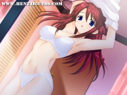 Lingerie Hentai Pictures