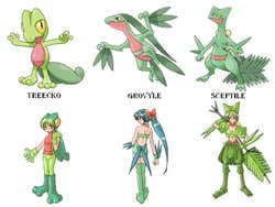 Pokemon Girls (Pokedex Entries 252-493)