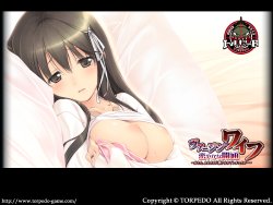 [Torpedo] Virgin Wife, Hisoyaka na Kaitsuu ～ Anata, Otousan ni Shitsukerate shimatta no... ～