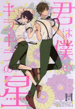 (C88) [Otawamure GO!GO! (Nimoda Ai)] Kimi wa Boku no Kirakira no Hoshi (Free!)