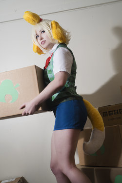 Usatame - Isabelle (Animal Crossing)