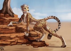 Artist - Littlefreckles