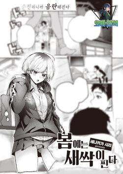 [Senakagashiri] Haru ni Mebuku | 봄에는 새싹이 핀다 (COMIC Kairakuten 2024-01) [Korean] [팀 오바참치] [Digital]