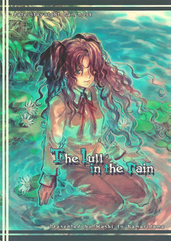 (C68) [Washi to Namaridama (Shiina Syu, Fujikawa Akira)] The Lull in the rain (Fate/stay night) [Chinese]